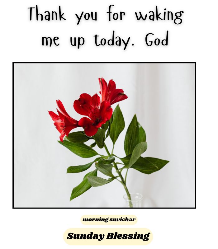 Thankful Sunday blessings Quotes