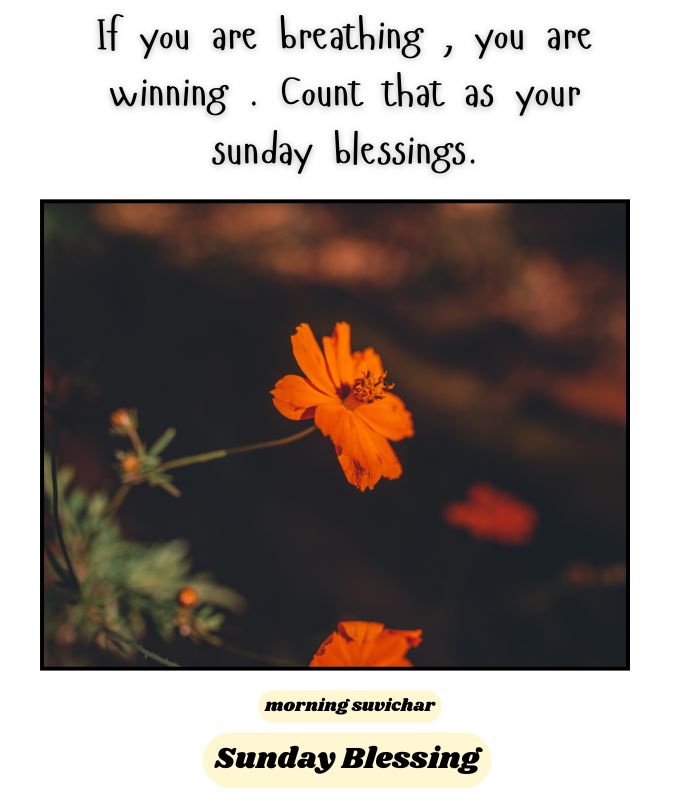 Sunday Blessings Quotes