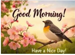 Good Morning HD Image with Morning Vibes