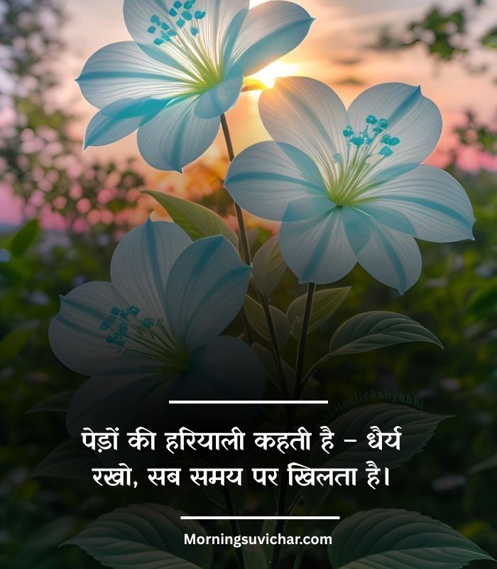 Fresh Morning Nature Quotes