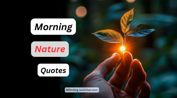 Nature Good Morning Quotes 