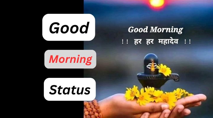 Good Morning Messages for WhatsApp Status